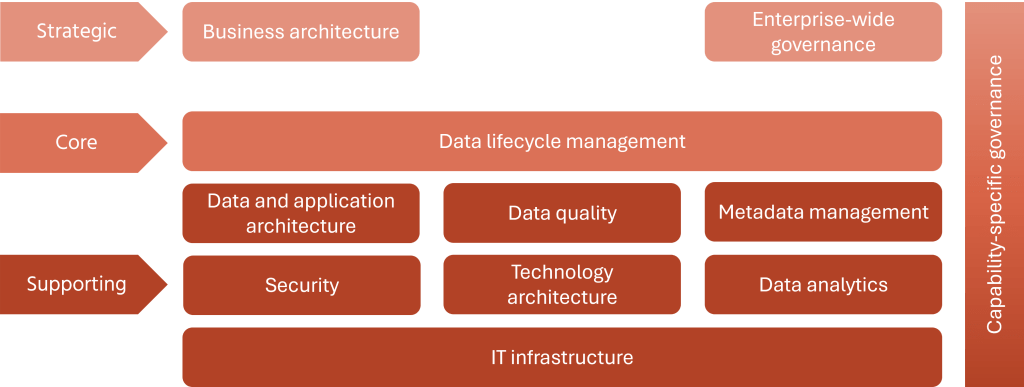 Figure 1: The DM capability model.