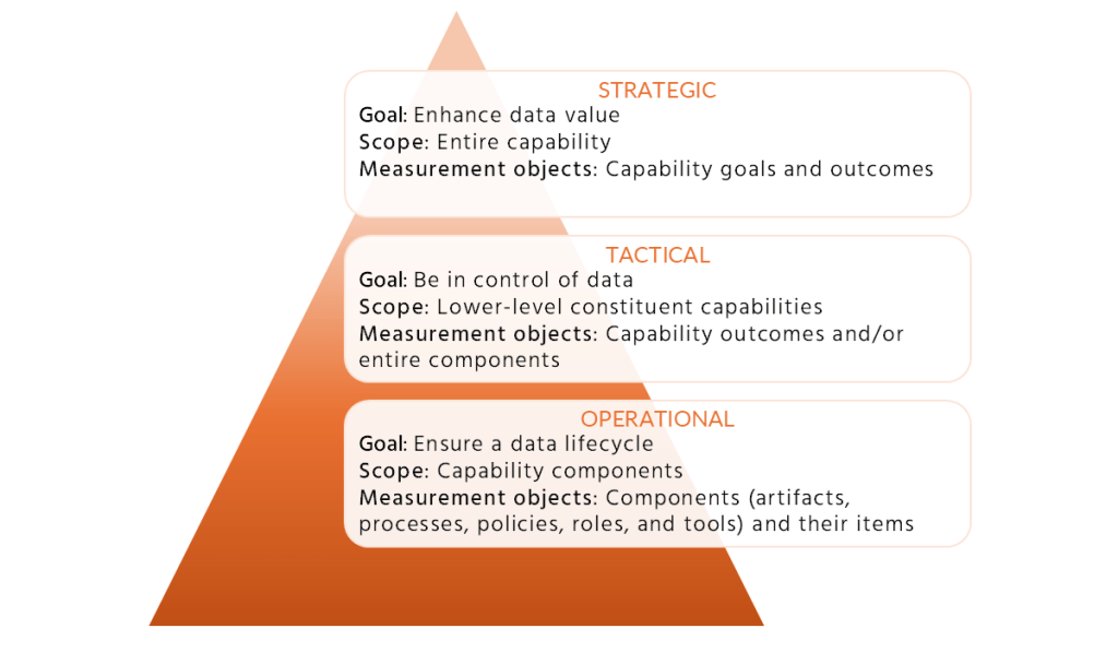 Figure 2: The DM capability across multiple organizational levels.