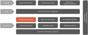 Figure 2: The Data Management Capability Map.